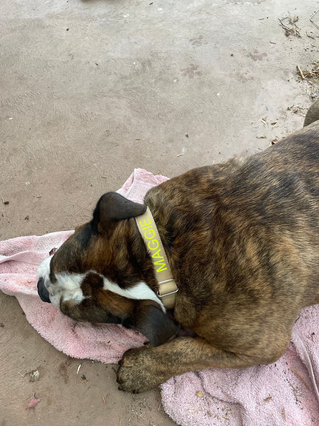 Fire Gear Dog Collar