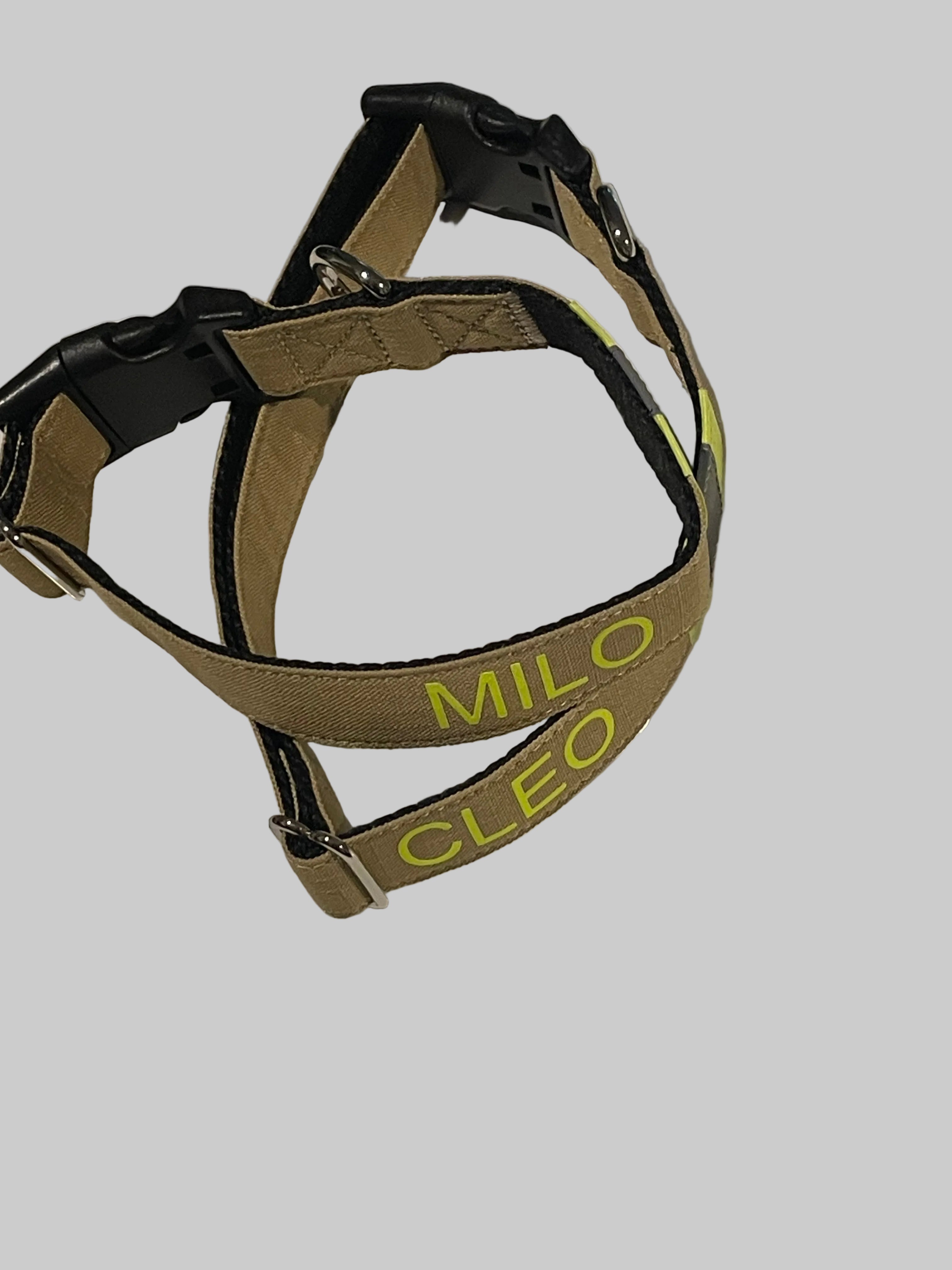 Fire Gear Dog Collar